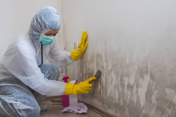 Best Mold Testing  in Cumings, TX