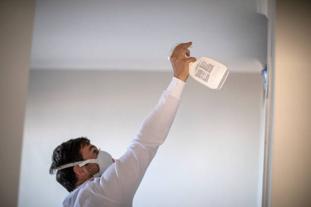 Certified Mold Removal in Cumings, TX