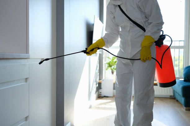 Best Home Mold Removal  in Cumings, TX
