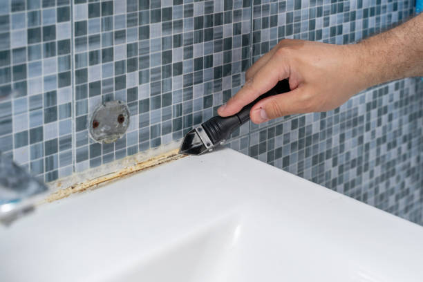 Best Professional Mold Removal  in Cumings, TX