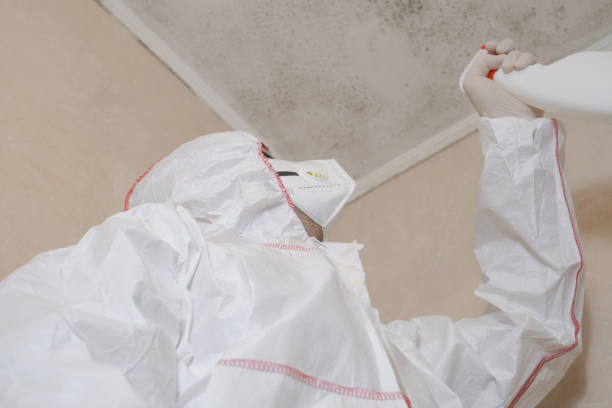 Best Mold Testing  in Cumings, TX