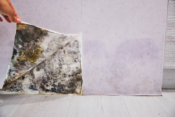 Water Damage Restoration in Cumings, TX